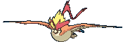 Pidgeot-Mega